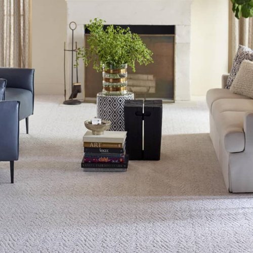 Living Room Pattern Carpet - CM Floor Covering Inc in  Stockton, CA